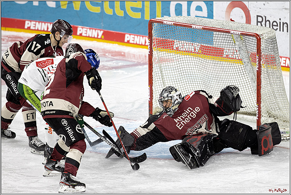 PENNY DEL;  Koelner Haie - Augsburger Panther; Koeln, 05.04.2021